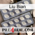 Liu Bian 07